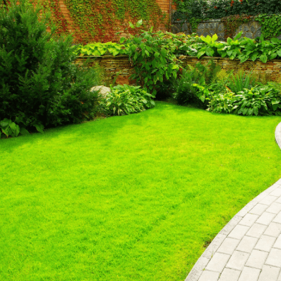 Landscaping